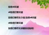 盲僧s6天賦|s6盲僧打野天賦|盲僧打野符文介紹(盲僧s6天賦|s6盲僧打野天賦|盲僧打野符文詳細(xì)情況如何)