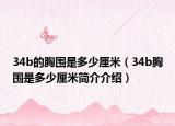 34b的胸圍是多少厘米（34b胸圍是多少厘米簡(jiǎn)介介紹）
