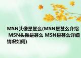 MSN頭像是甚么(MSN是甚么介紹 MSN頭像是甚么 MSN是甚么詳細(xì)情況如何)
