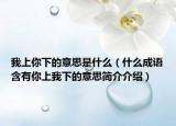 我上你下的意思是什么（什么成語含有你上我下的意思簡介介紹）