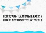比翼而飛是什么意思是什么意思（比翼而飛的意思是什么簡(jiǎn)介介紹）