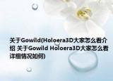關(guān)于Gowild(Holoera3D大家怎么看介紹 關(guān)于Gowild Holoera3D大家怎么看詳細(xì)情況如何)