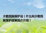 少數(shù)民族保護法（什么叫少數(shù)民族保護政策簡介介紹）