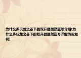 為什么多玩龍之谷下的雙開器居然盜號(hào)介紹(為什么多玩龍之谷下的雙開器居然盜號(hào)詳細(xì)情況如何)