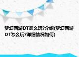 夢(mèng)幻西游DT怎么玩?介紹(夢(mèng)幻西游DT怎么玩?詳細(xì)情況如何)