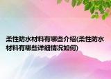 柔性防水材料有哪些介紹(柔性防水材料有哪些詳細(xì)情況如何)