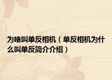 為啥叫單反相機（單反相機為什么叫單反簡介介紹）