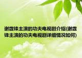 謝霆鋒主演的功夫電視劇介紹(謝霆鋒主演的功夫電視劇詳細情況如何)