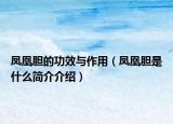 鳳凰膽的功效與作用（鳳凰膽是什么簡(jiǎn)介介紹）