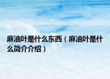 麻油葉是什么東西（麻油葉是什么簡介介紹）