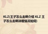 KLZ(王子怎么去啊介紹 KLZ 王子怎么去啊詳細情況如何)