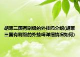 胡萊三國有刷級(jí)的外掛嗎介紹(胡萊三國有刷級(jí)的外掛嗎詳細(xì)情況如何)