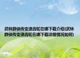 武林群俠傳變速齒輪在哪下載介紹(武林群俠傳變速齒輪在哪下載詳細(xì)情況如何)