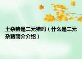 土雜豬是二元豬嗎（什么是二元雜豬簡介介紹）
