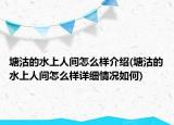 塘沽的水上人間怎么樣介紹(塘沽的水上人間怎么樣詳細(xì)情況如何)