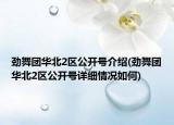 勁舞團(tuán)華北2區(qū)公開號(hào)介紹(勁舞團(tuán)華北2區(qū)公開號(hào)詳細(xì)情況如何)