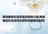 黃綺珊是杜海濤得親媽嗎介紹(黃綺珊是杜海濤得親媽嗎詳細(xì)情況如何)