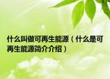 什么叫做可再生能源（什么是可再生能源簡(jiǎn)介介紹）