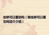 蟲卵可以看到嗎（蟯蟲卵可以看見嗎簡(jiǎn)介介紹）