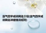霸氣四字成語網(wǎng)名介紹(霸氣四字成語網(wǎng)名詳細(xì)情況如何)