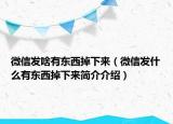 微信發(fā)啥有東西掉下來（微信發(fā)什么有東西掉下來簡介介紹）