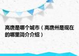 高唐是哪個(gè)城市（高唐州是現(xiàn)在的哪里簡(jiǎn)介介紹）