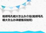 臉頰毛孔粗大怎么辦介紹(臉頰毛孔粗大怎么辦詳細(xì)情況如何)