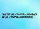 湖南衛(wèi)視為什么又叫芒果臺介紹(湖南衛(wèi)視為什么又叫芒果臺詳細情況如何)