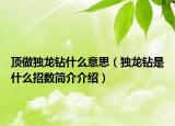 頂做獨(dú)龍鉆什么意思（獨(dú)龍鉆是什么招數(shù)簡介介紹）