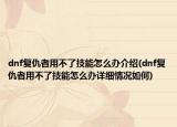 dnf復(fù)仇者用不了技能怎么辦介紹(dnf復(fù)仇者用不了技能怎么辦詳細(xì)情況如何)