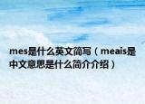 mes是什么英文簡(jiǎn)寫(xiě)（meais是中文意思是什么簡(jiǎn)介介紹）