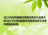 QQ飛車的鳳凰精靈寵物還有多久出來介紹(QQ飛車的鳳凰精靈寵物還有多久出來詳細(xì)情況如何)