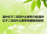 霜葉紅于二月花什么意思介紹(霜葉紅于二月花什么意思詳細(xì)情況如何)