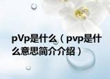 pVp是什么（pvp是什么意思簡介介紹）