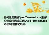如何徹底關(guān)閉QvodTerminal.exe進(jìn)程?介紹(如何徹底關(guān)閉QvodTerminal.exe進(jìn)程?詳細(xì)情況如何)