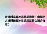 大好時光夏冰冰結(jié)局視頻（電視劇大好時光夏冰冰結(jié)局是什么簡介介紹）