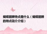 蝴蝶翅膀特點(diǎn)是什么（蝴蝶翅膀的特點(diǎn)簡(jiǎn)介介紹）