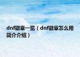 dnf徽章一覽（dnf徽章怎么用簡介介紹）