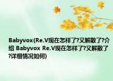 Babyvox(Re.V現(xiàn)在怎樣了?又解散了?介紹 Babyvox Re.V現(xiàn)在怎樣了?又解散了?詳細情況如何)