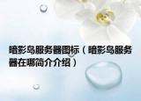 暗影島服務(wù)器圖標(biāo)（暗影島服務(wù)器在哪簡介介紹）