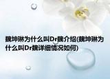 魏坤琳為什么叫Dr魏介紹(魏坤琳為什么叫Dr魏詳細(xì)情況如何)