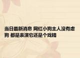 當(dāng)日最新消息 網(wǎng)紅小狗主人沒有虐狗 都是表演它還是個戲精