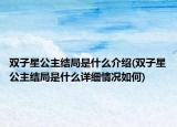 雙子星公主結局是什么介紹(雙子星公主結局是什么詳細情況如何)