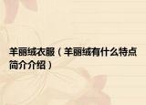 羊麗絨衣服（羊麗絨有什么特點簡介介紹）