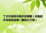 丁太升高進(jìn)天賜聲音哪期（天賜的聲音高進(jìn)是哪一期簡(jiǎn)介介紹）