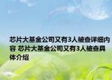 芯片大基金公司又有3人被查詳細(xì)內(nèi)容 芯片大基金公司又有3人被查具體介紹