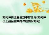 如何評價王品臺塑牛排介紹(如何評價王品臺塑牛排詳細(xì)情況如何)