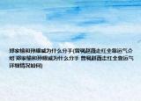 鄭家榆和孫耀威為什么分手(曾諷趙薇走紅全靠運氣介紹 鄭家榆和孫耀威為什么分手 曾諷趙薇走紅全靠運氣詳細情況如何)