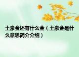 土豪金還有什么金（土豪金是什么意思簡(jiǎn)介介紹）