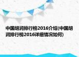 中國(guó)胡潤(rùn)排行榜2016介紹(中國(guó)胡潤(rùn)排行榜2016詳細(xì)情況如何)
